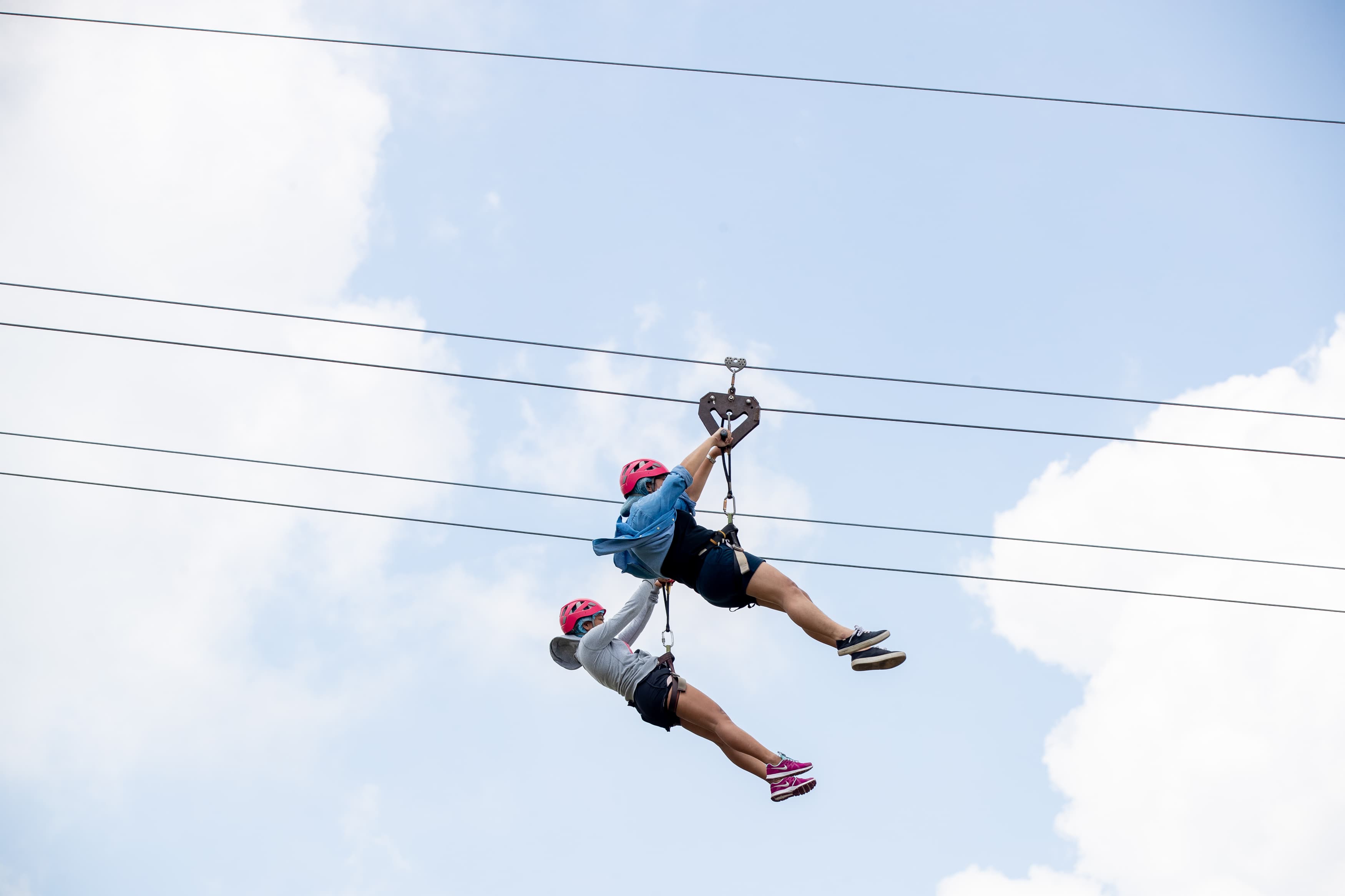 Zip Line