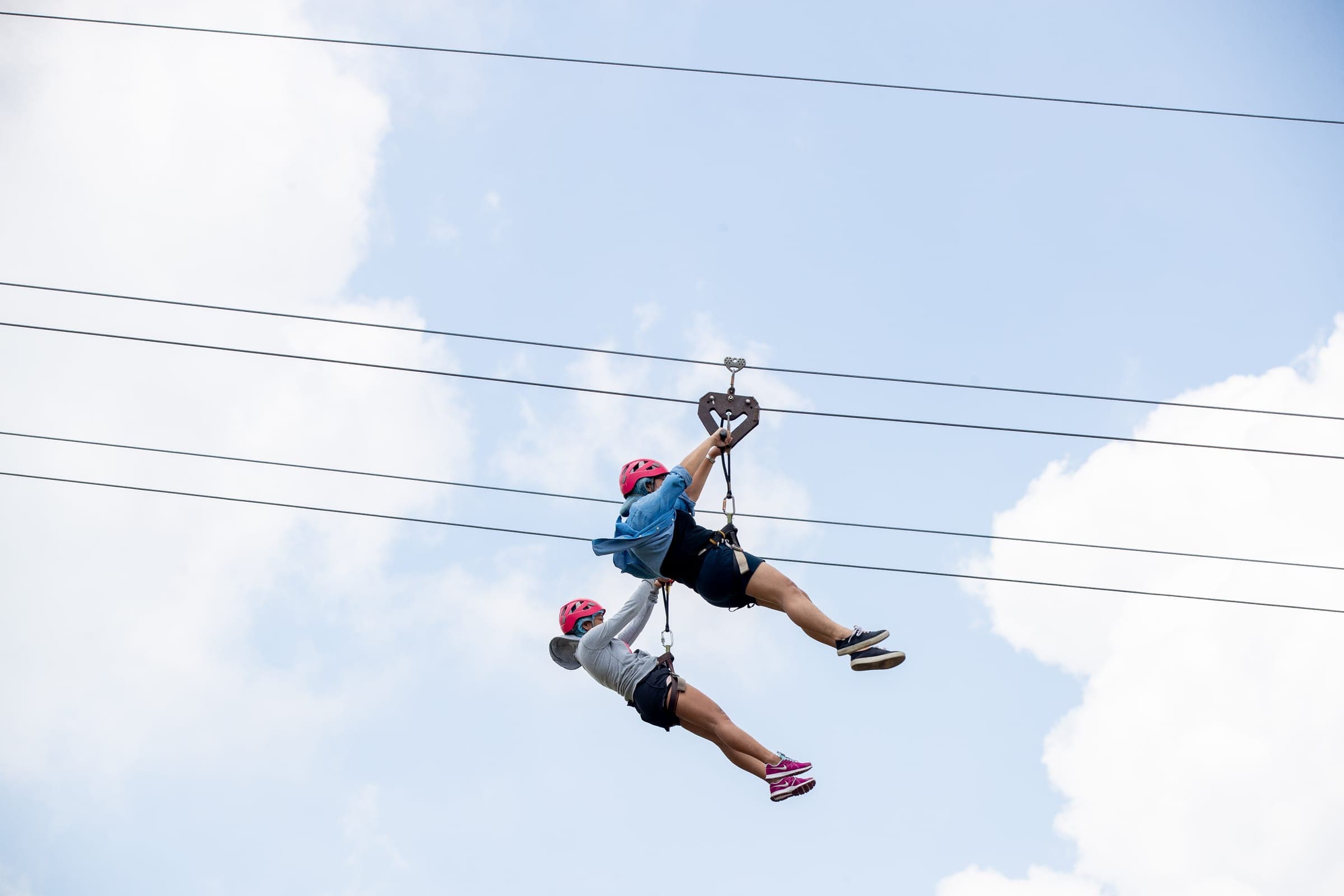 Zip Line