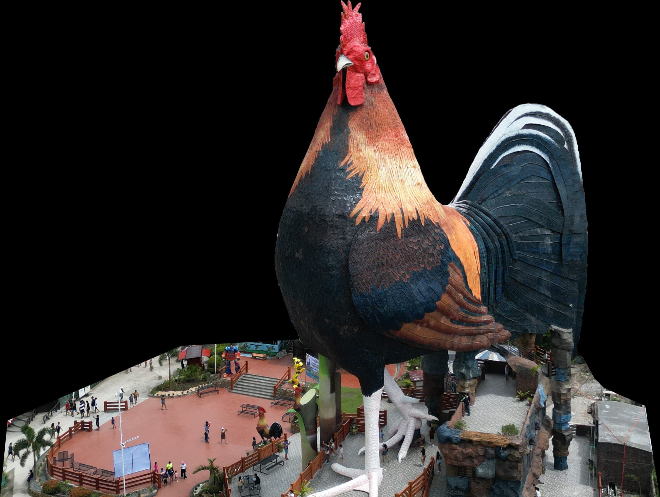 The Rooster building, the largest chicken-shaped building in the world